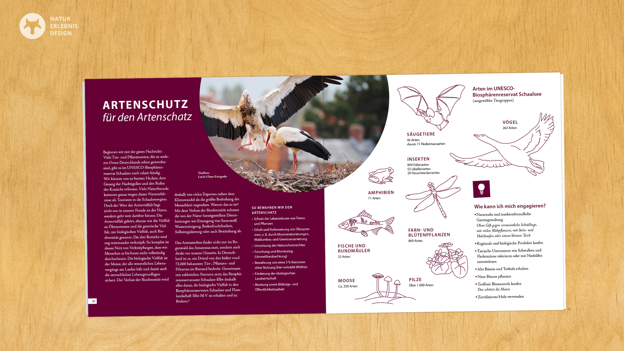 Doppelseite Artenschutz