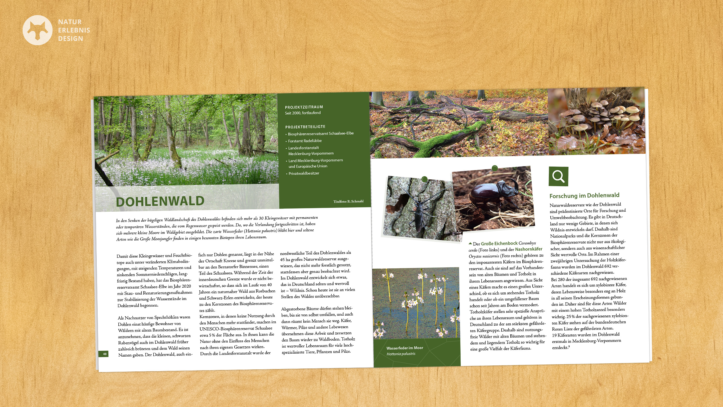 Doppelseite Dohlenwald