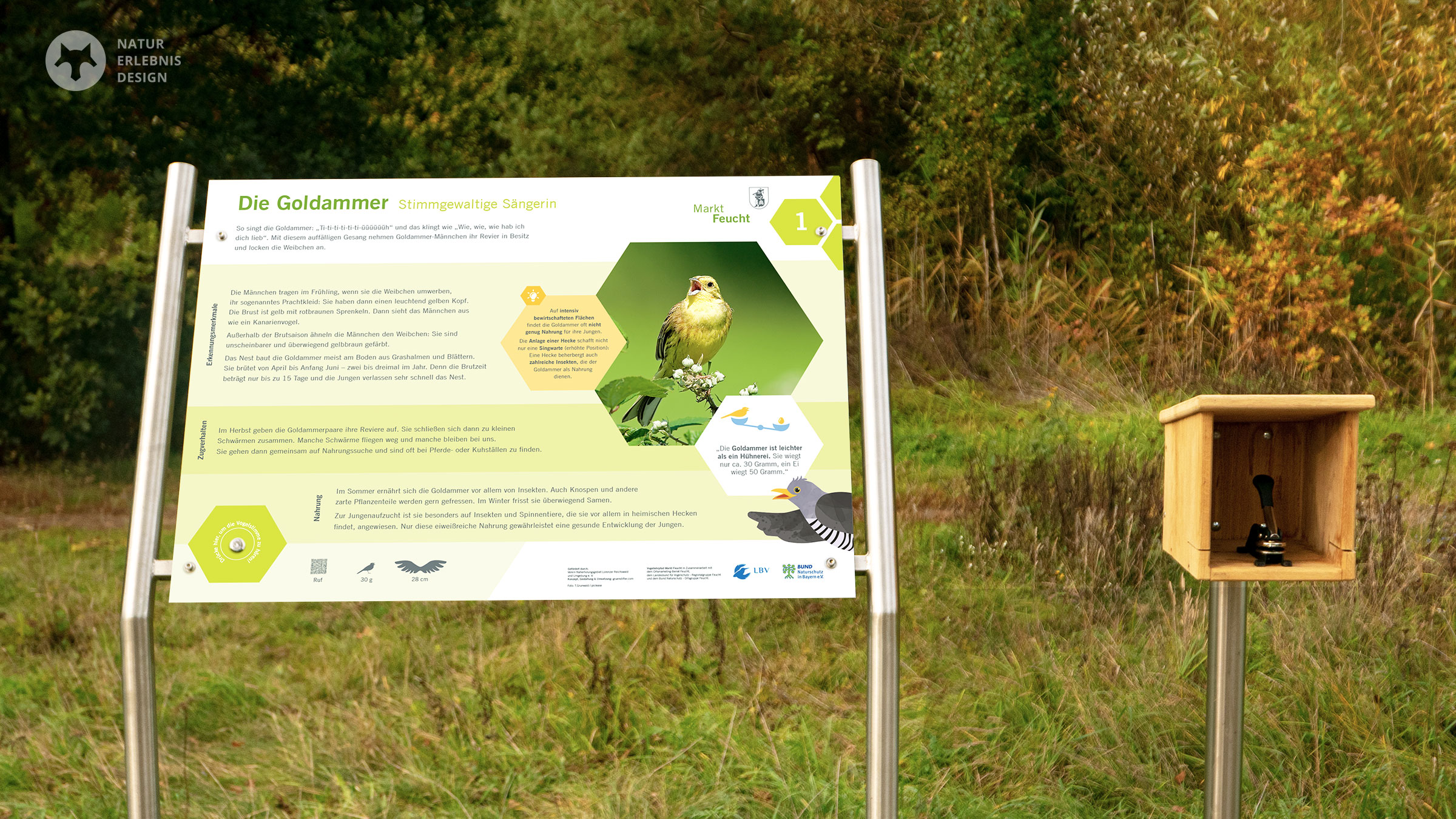 Vogellehrpfad Tafel Goldammer