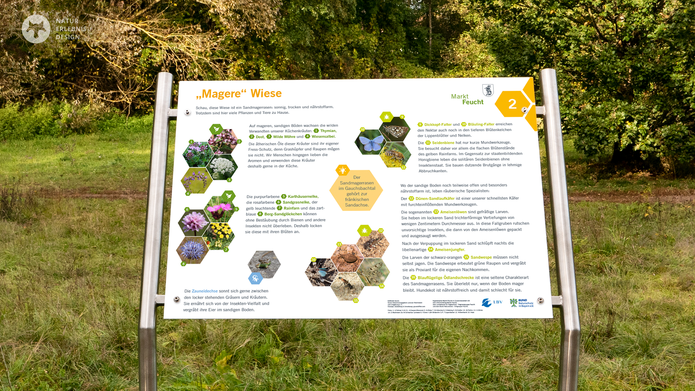 Vogellehrpfad Tafel Magere Wiese